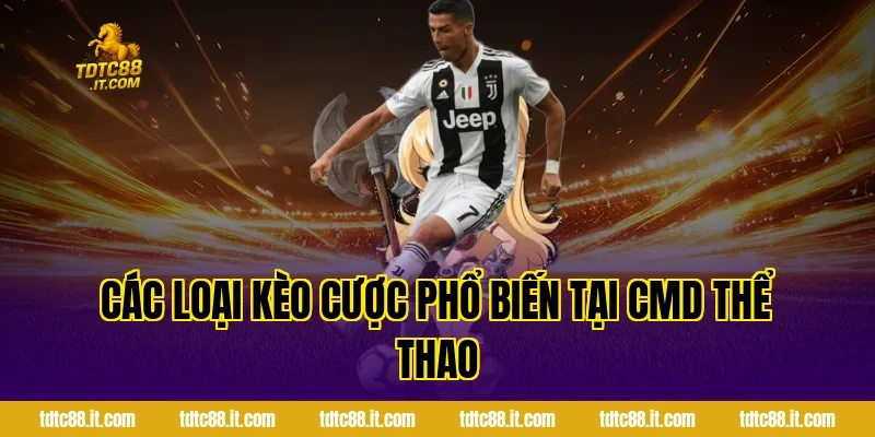 CMD Thể Thao TDTC – Nhà Cung Cấp Cá Cược Uy Tín Hàng Đầu 3 Các Loại Kèo Cược Phổ Biến Tại CMD Thể Thao