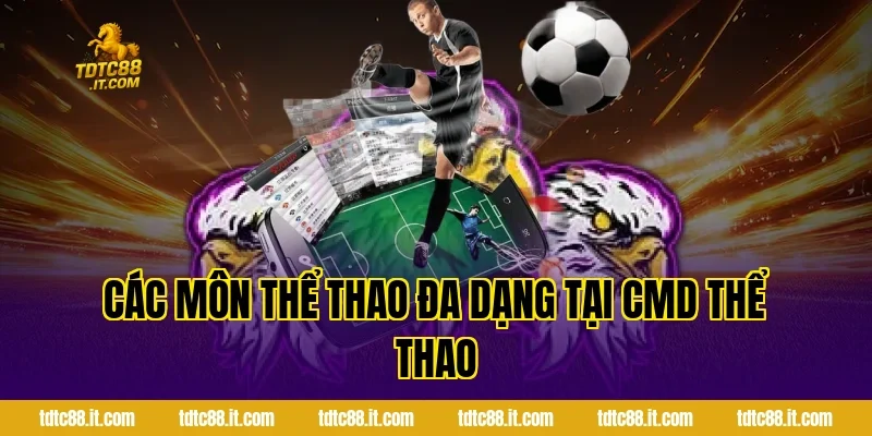 CMD Thể Thao TDTC – Nhà Cung Cấp Cá Cược Uy Tín Hàng Đầu 2 Các Môn Thể Thao Đa Dạng Tại CMD Thể Thao