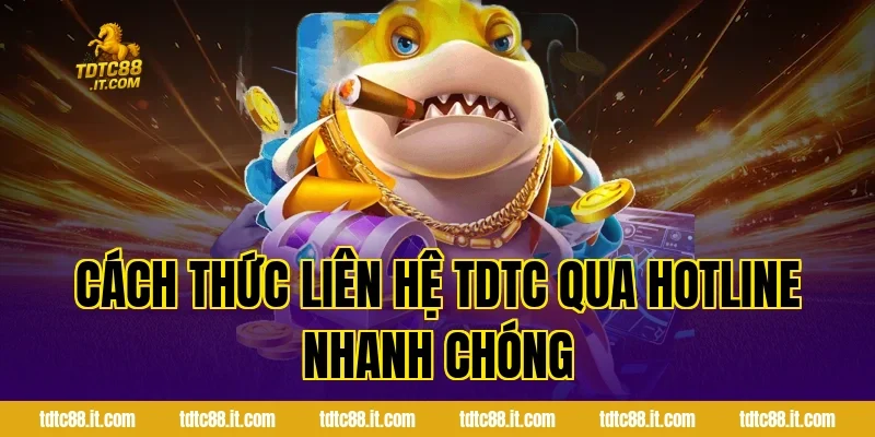 Liên Hệ TDTC – Hỗ Trợ Khách Hàng Nhanh Chóng Nhất 2026 1 Cách thức liên hệ TDTC qua hotline nhanh chóng