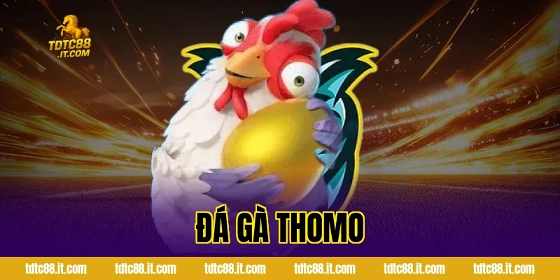 Đá Gà Thomo TDTC – Trường Gà Nổi Tiếng Campuchia Cho Tân Thủ 16 Đá Gà Thomo TDTC – Trường Gà Nổi Tiếng Campuchia Cho Tân Thủ