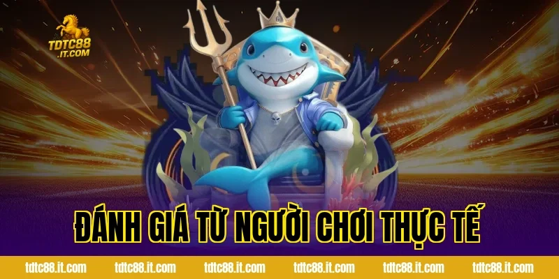 CMD Thể Thao TDTC – Nhà Cung Cấp Cá Cược Uy Tín Hàng Đầu 5 Đánh Giá Từ Người Chơi Thực Tế