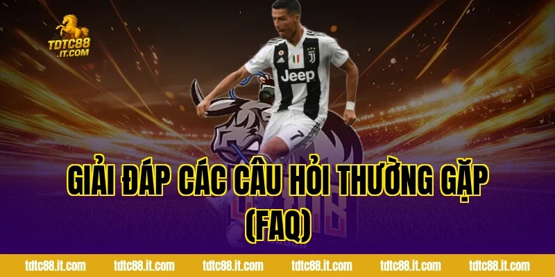 SBOBET Thể Thao TDTC – Cá Cược Bóng Đá Uy Tín Nhất Hiện Nay 6 Giải Đáp Các Câu Hỏi Thường Gặp (FAQ)