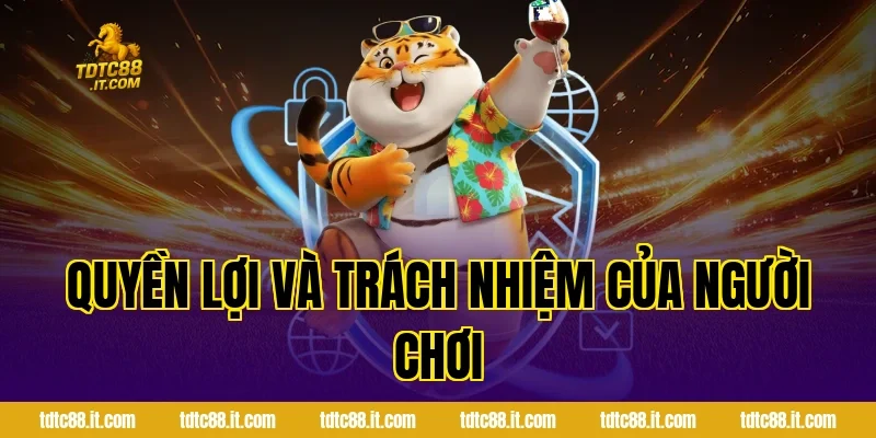 Miễn Trách Nhiệm TDTC – Điều Khoản Sử Dụng Chi Tiết 3 Quyền Lợi Và Trách Nhiệm Của Người Chơi